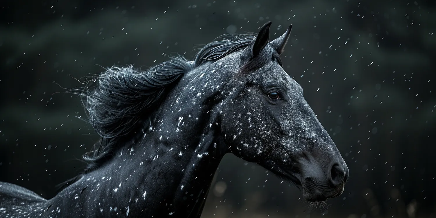 Ile trwa spalenie zwłok w krematorium dla zwierząt?