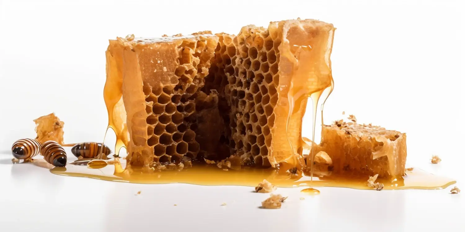 Dlaczego miód rzepakowy jest zdrowy?